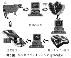 第３図 牛肉サプライチェーンの情報の流れ